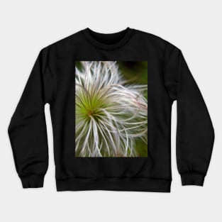 Fluffy Allium Natural Crewneck Sweatshirt